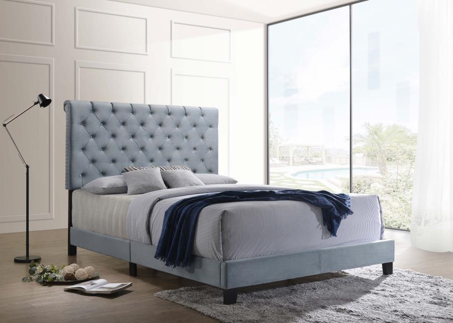 Warner - Queen Bed - Light Blue